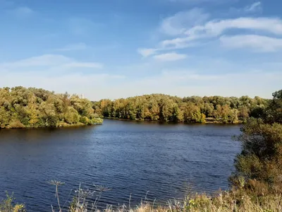 Лес осенью над рекой Москвы Стоковое Изображение - изображение  насчитывающей холодно, пуща: 171119853