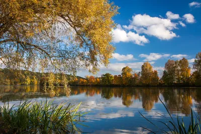 🍂 Кинематографично.На маленькой …» — создано в Шедевруме