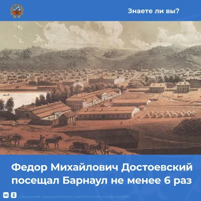ОБОИ | БАРНАУЛ (@moliere_decor) • Instagram photos and videos
