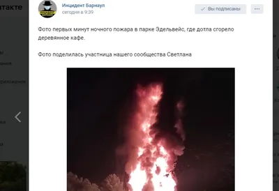 Две пчелы | Притяни удачу в свою жизнь - арт-объект \"Барнаул - центр  вселенной | Дзен
