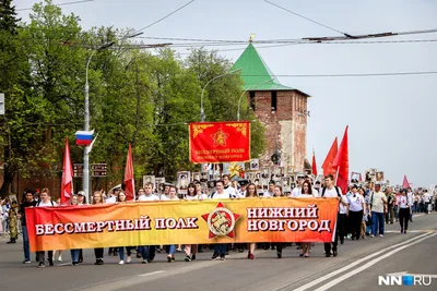 На нижегородца завели дело за фото нациста на сайте «Бессмертного полка» |  ПРОИСШЕСТВИЯ | АиФ Нижний Новгород