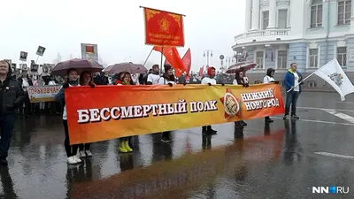 Помощь «Волонтеров Победы» в организации шествия «Бессмертного полка» 04  мая 2022 года | Нижегородская правда