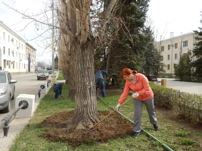 В Волжском открыли обновленную улицу Фонтанную | Телеканал “Волгоград 1”