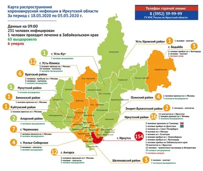 Основной вклад в негативную статистку по коронавирусу внесли Иркутск и  Иркутский район. - СИА