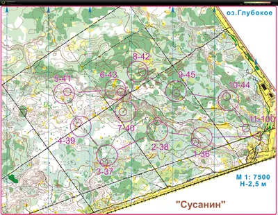 Карта городские соревнования «СУСАНИН», район - Казань, левченко, из архива  карт спортивного ориентирования Anton Skalkin