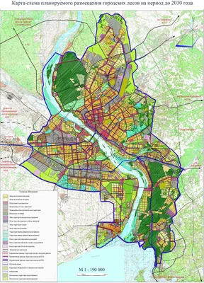 Карта-схема планируемого размещения городских лесов на период до 2030 года  | Архитектура Новосибирска