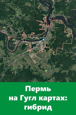 Центр Кинезитерапии GREEN LINE Пермь | Perm