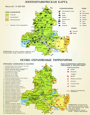 Карта Северного кладбища Ростова-на-Дону