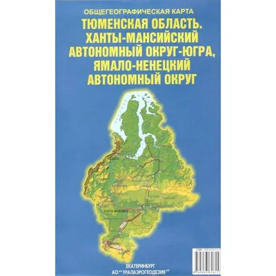 Тюмень векторная карта города подробная редактируемая в слоях Adobe  Illustrator : r/CityMapDesign