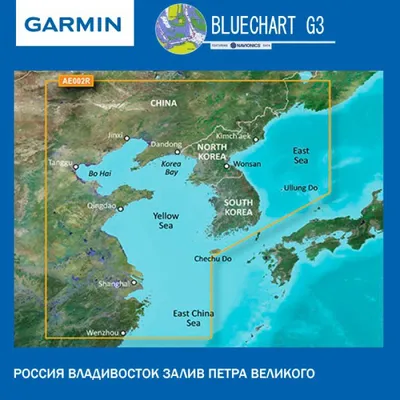 Жителей Владивостока обрадовали новой возможностью транспортной карты