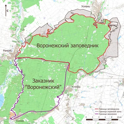 Вторая жизнь любимого парка. Будущее «Танаиса» понравилось жителям Воронежа  | ОБЩЕСТВО | АиФ Воронеж