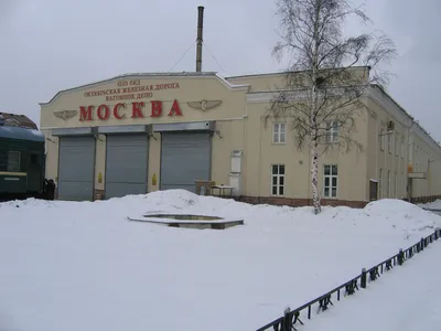 Фото \"На октябрьской демонстрации\", 7 ноября 1952, г. Москва - История  России в фотографиях