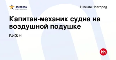 Суда на воздушной подушке от производителя, продажа СВП - ГК Техносервис