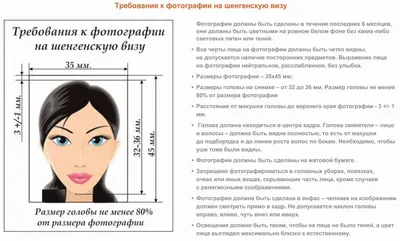 Как оформить шенгенскую визу из Омска в 2023: инструкция - Новости Омска -  om1.ru