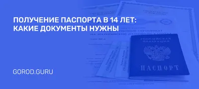 Оформление виз и загранпаспортов в Екатеринбурге: 13 специалистов по  визово-паспортной поддержке со средним рейтингом 4.9 с отзывами и ценами на  Яндекс Услугах