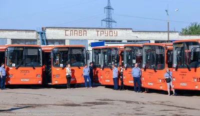 Реквизиты и разрешительные документы на проведение СОУТ в Нижнем Новгороде  - БИОТА