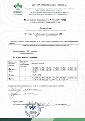 Автоподставы в Челябинске: уголовное дело в отношении Скрынниковых  прекратили, но тут же направили на дополнительное расследование - 31 марта  2023 - 74.ru