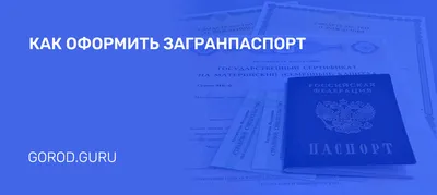 Оформление загранпаспорта в Краснодаре в 2024 пошаговая инструкция,  необходимые документы, адреса получения загранника