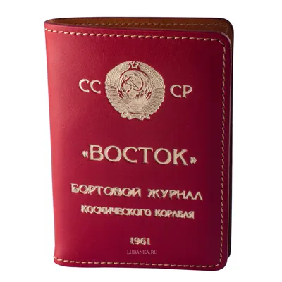 Фейк с ними: гражданскую позицию краснодарские чиновники подвели под  уголовную статью - Российская газета