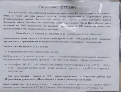 Нам ничего не говорят»: в Новосибирске загранпаспорта нового образца все  еще не появились - Новости Mail.ru