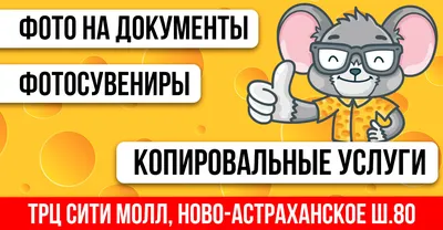 Саратовчанка решила с помощью пяти тысяч рублей ускорить выдачу нового  паспорта | Саратов 24