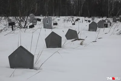 Неопознанные тела нашли в онкоцентре в Москве - NEWS.ru — 19.12.18