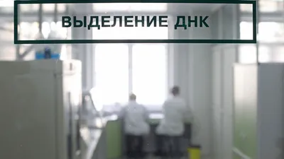 Оно уже в три раза больше, чем было до вторжения». Репортаж Economist с  украинского военного кладбища