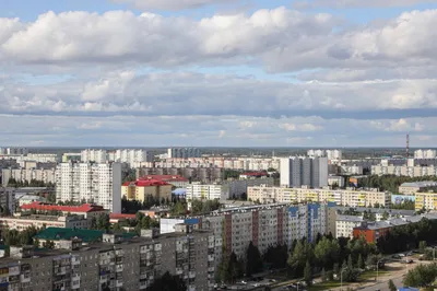 Экологи обнаружили под Нижневартовском «зону отчуждения»