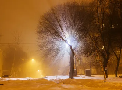 Фотография Ночной Волгоград автора Василиса фото №326642 смотреть на  ФотоПризер.ру