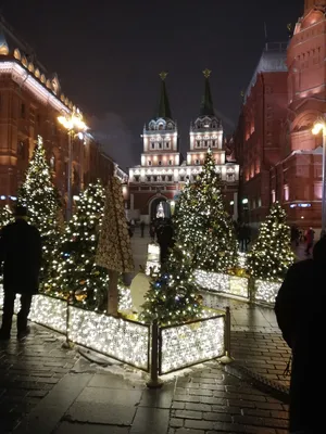 Новогодняя Москва: групповая автобусная экскурсия 🧭 цена экскурсии 1300  руб., 7 отзывов, расписание экскурсий в Москве