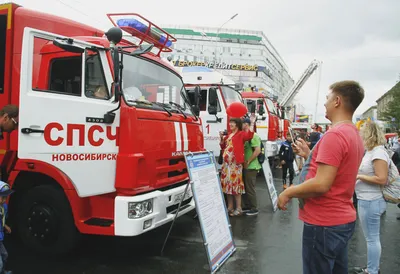 В Новосибирск идёт лето: 35 ярких фото с зеленью и первыми цветами