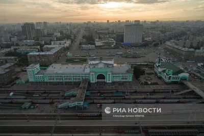 В Новосибирске объяснили отмену опроса на новогодний талисман - РИА Новости,  07.02.2022