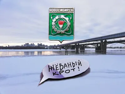 История Октябрьского района Новосибирска - Новости Новосибирска - om1.ru