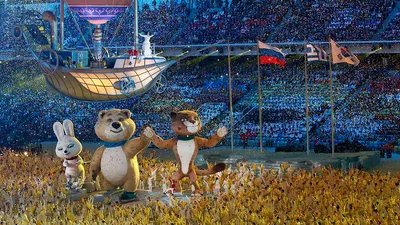 Зимние Олимпийские игры 2014 — Википедия