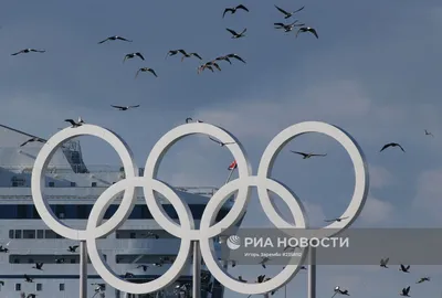 Открылись XXII зимние Олимпийские игры в Сочи - Знаменательное событие