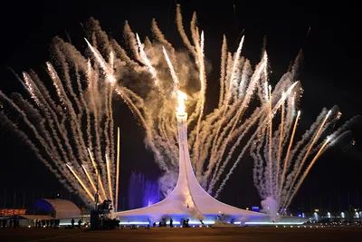 Зимние Олимпийские игры-2014 в Сочи - Спортсмены, медали и результаты
