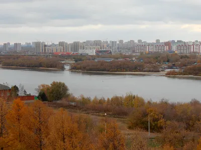 Омск оказался последним среди городов-миллионников по качеству городской  среды - Российская газета