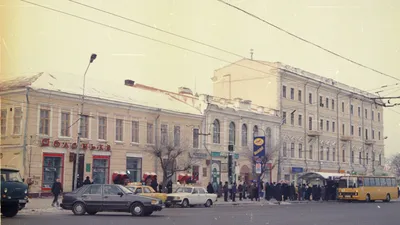 В центре Омска появится сказочный лес со светодиодными фигурами зверей -  Общество