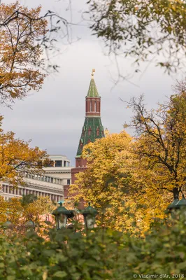 Как выглядит осенняя Москва