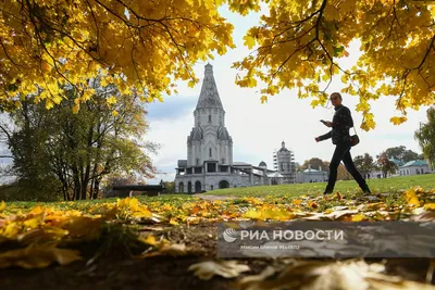 Прекрасный осенний парк Осень в Москве Падение деревьев и листьев Альбомная  осень Парк в осени Лес осени Стоковое Изображение - изображение  насчитывающей красивейшее, пейзаж: 160011441