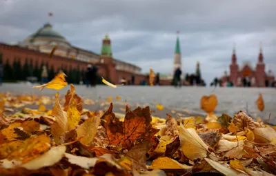 Осень в Москве