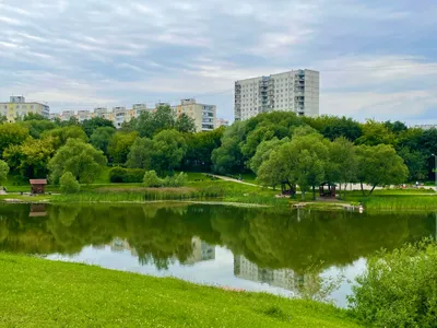 5 крупнейших природных парков и заказников Москвы | Фото | Культура |  Аргументы и Факты