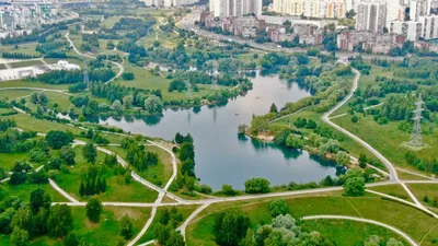 Жара в городе: 7 самых тенистых парков Москвы для комфортной прогулки – The  City