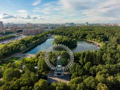 Красивые парки Москвы для прогулок | Блог сети отелей Максима Хотелс