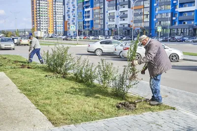 Пляж в Спутнике заменил жителям Пензы южные курорты | ОБЩЕСТВО | АиФ Пенза