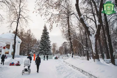 Ледовый городок и новые аттракционы: как изменится парк Горького к Новому  году и юбилею Перми - KP.RU