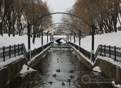 Зимой в Перми построят сказочный ледовый городок с 9 горками за 29,5 млн  рублей