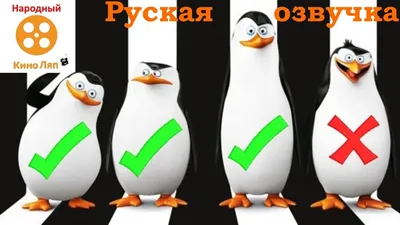 Фильм «Пингвины Мадагаскара» / The Penguins of Madagascar (2014) —  трейлеры, дата выхода | КГ-Портал