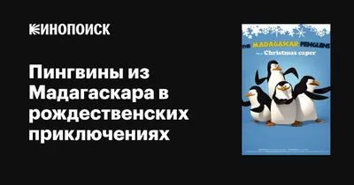 Пингвины Мадагаскара и их мемная жизнь | МультНутро | Дзен