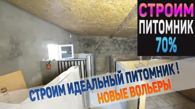 Создание сайтов для питомников собак - Веб-студия KS Design Stidio создание  сайтов